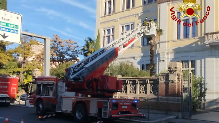 Davanti all'Ipsia di Terni prende fuoco una palma: gli studenti costretti a saltare le prime ore per l'intervento dei vigili del fuoco 