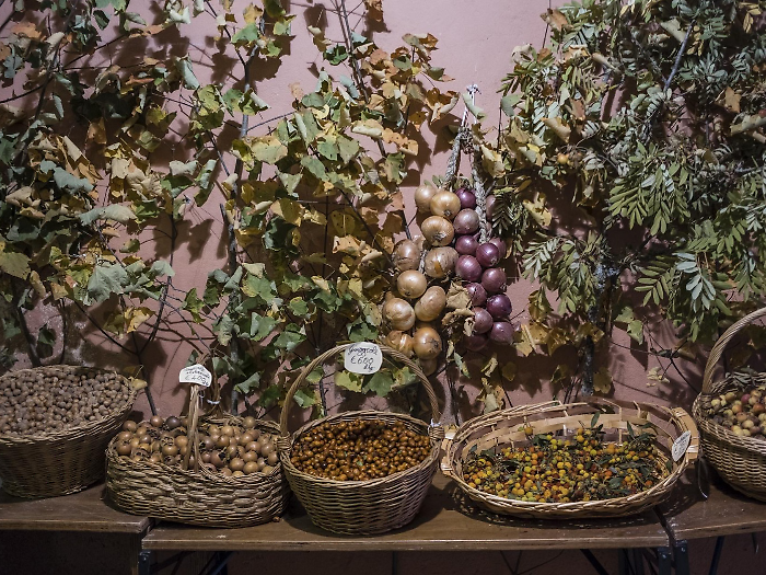 Montone, la quarantesima edizione de La festa del bosco tra degustazioni, spettacoli arte e artigianato. Il programma 