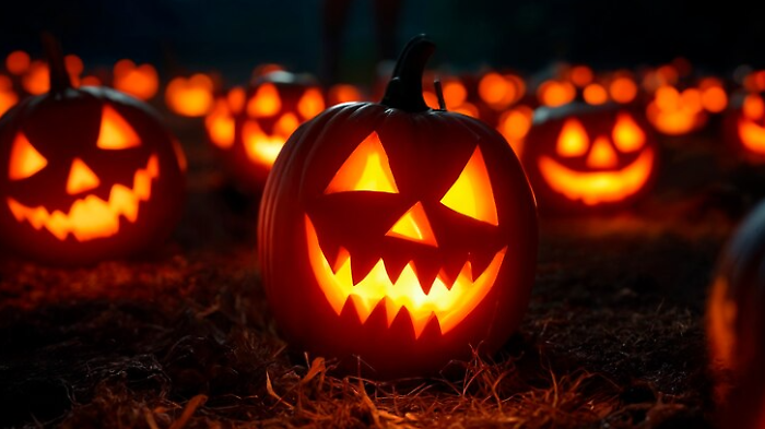 Halloween 2024