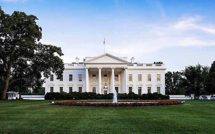 Elezioni Usa, la sfida tra Trump e Harris. Al voto di martedì: le ragioni, le curiosità (perché c'entrano le messe, le carrozze e gli animali)