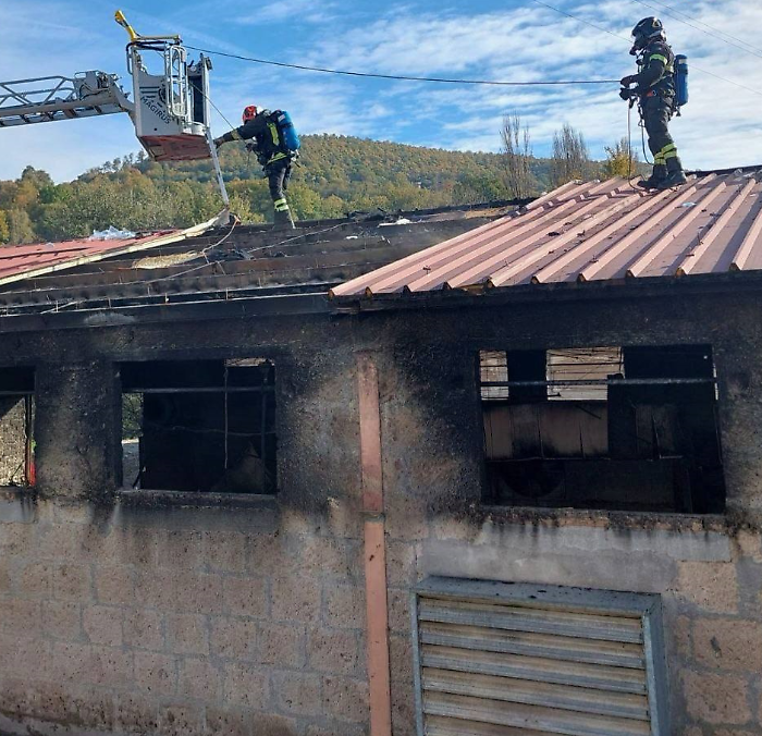 incendio allevamento città di castello
