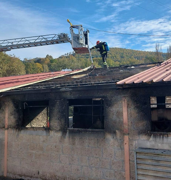 incendio allevamento città di castello