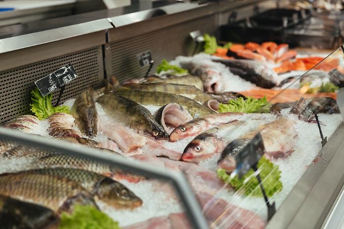 Pesce senza tracciabilità, sequestrati 379 chili: è il risultato dell'operazione della Guardia costiera delle Marche durante dei controlli in Umbria 