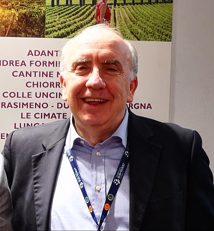 Vini umbri, raffica di premi dalle guide nazionali: ecco l'elenco delle etichette top
