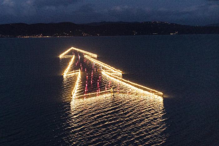 Albero di Natale Castiglione del Lagoo