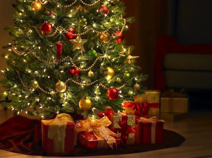 Albero di Natale: come mantenerlo in casa e dove portarlo una volta finire le feste