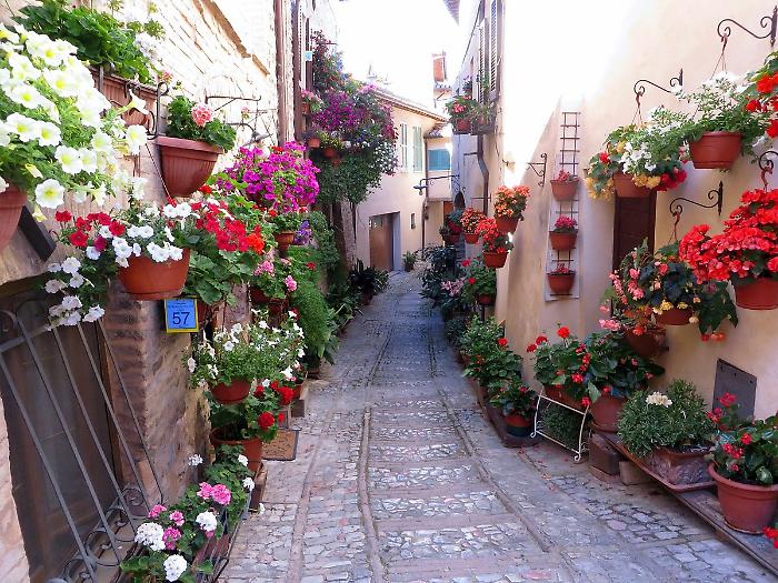 spello