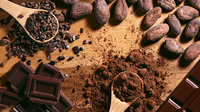 Ferrero, chi è il titolare dell'azienda attenta alla sostenibilità. Focus con Farwest sulla qualità del cioccolato e la sua provenienza stasera in tv su Rai 3