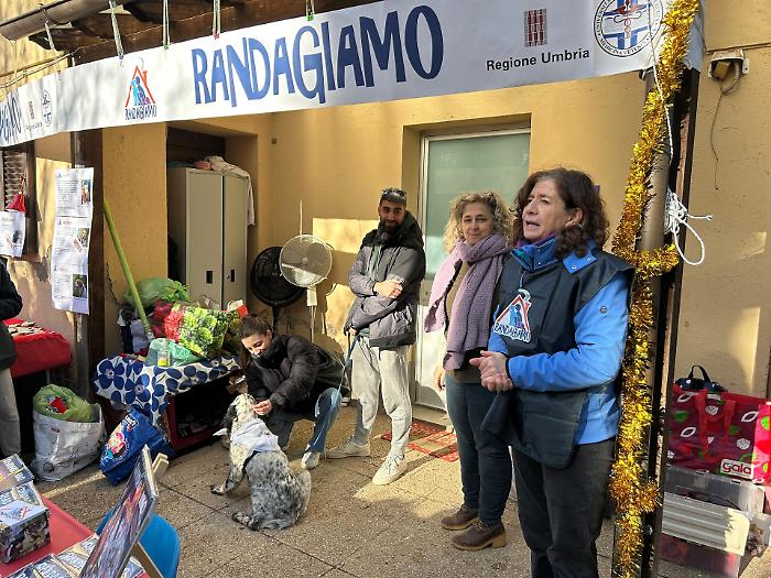 Perugia, al canile sanitario di Collestrada festa di Natale con adozione: un amico a quattro zampe trova casa dopo 9 anni