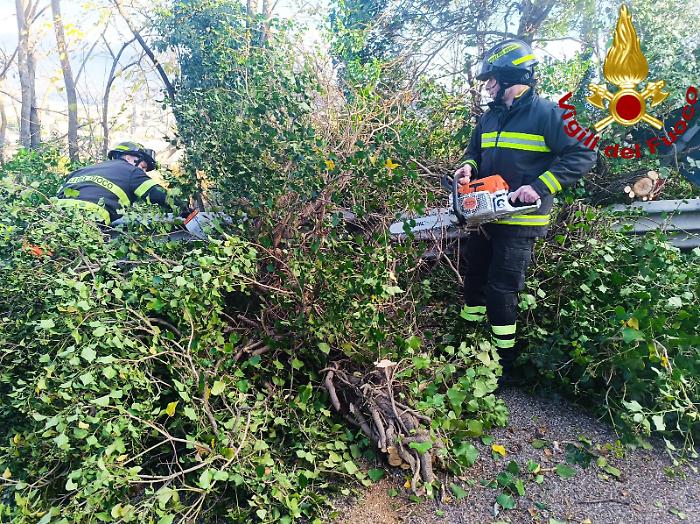 Vento forte, vigili del fuoco impegnati in decine di interventi in tutta la provincia