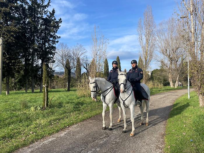 Umbria, piano sicurezza per il Giubileo e contro i furti in casa sotto le feste: spuntano anche i carabinieri a cavallo