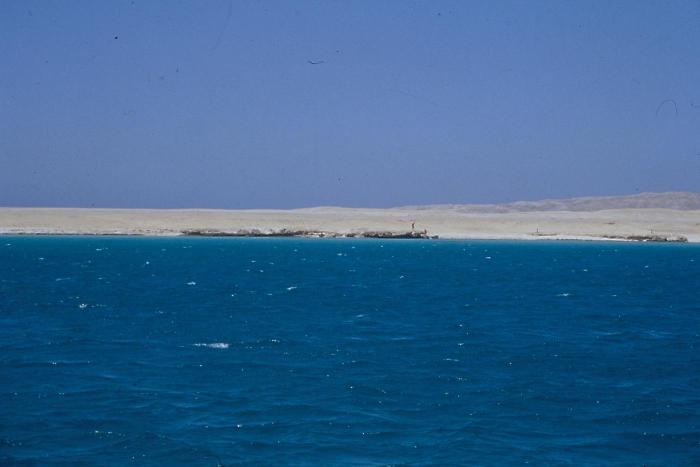 Squalo attacca due turisti italiani in Egitto nella spiaggia di Marsa Alam: uno è morto