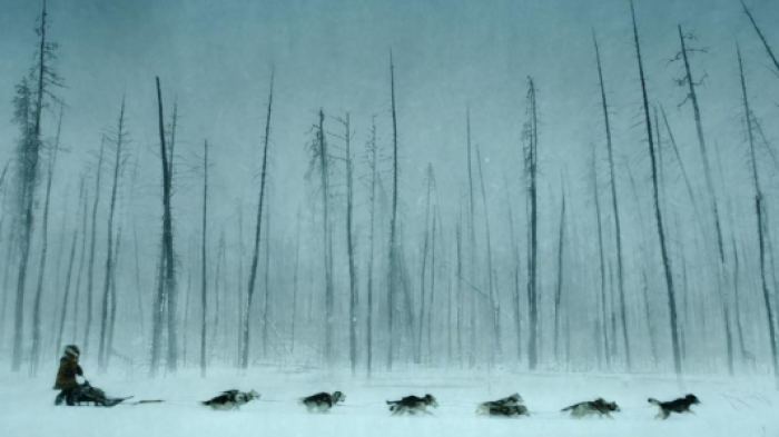 Togo. Una grande amicizia stasera in tv mercoledì 1° gennaio su Rai 1: le anticipazioni del film ambientato nel Nord America