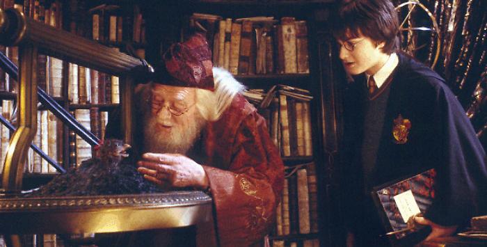 Harry Potter e la camera dei segreti stasera in tv giovedì 23 gennaio su Italia 1: trama, cast e curiosità del secondo capitolo della saga
