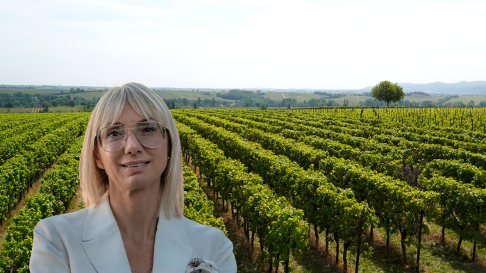 Vino, in Umbria in arrivo oltre 5 milioni di euro. L'assessore Meloni: "Fondi per il rilancio di tutto il settore"