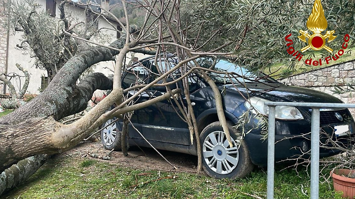 Gubbio, albero piomba su auto e recinzione di una casa. Il vento fa volare il tetto di un'azienda   