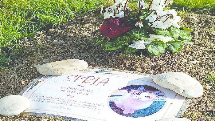gatta terni siria cimitero