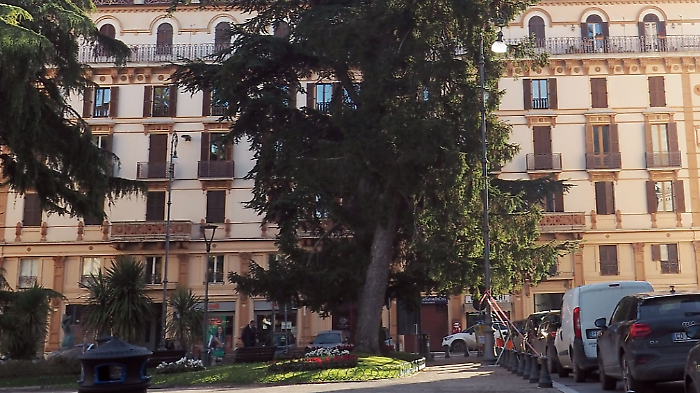 abete piazza italia