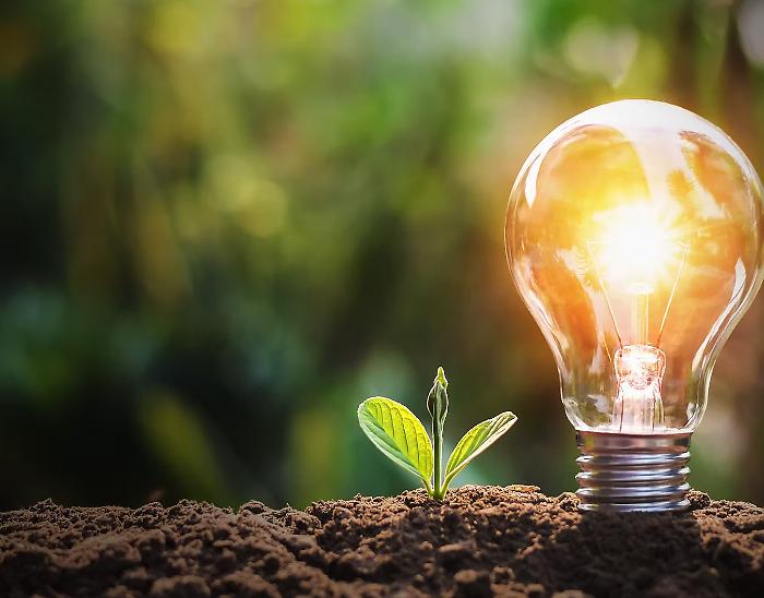 Intervista a Marco Donnini: La Visione e la Crescita di Green Energie Srl