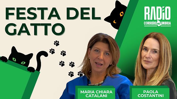 La festa del gatto a Umbria in diretta oggi in onda su Radio Corriere dell'Umbria: ospite la veterinaria Maria Rita Catalani