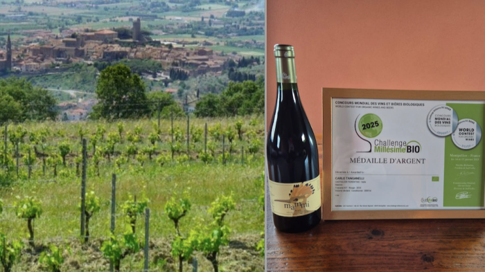 Premiato il vino Mammi