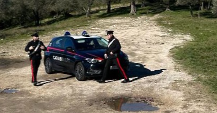 Narni, spara al gatto del vicino con un fucile. L'animale ha perso la vista. Denunciato dai carabinieri un 76enne