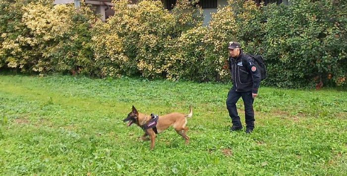 carabinieri esche avvelenate terni