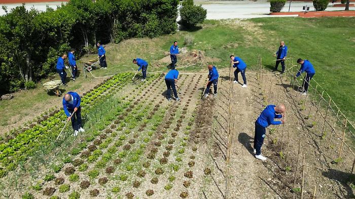 Amelia, la Comunità Incontro porta l'ergoterapia all'evento Agricoltura E' a Roma