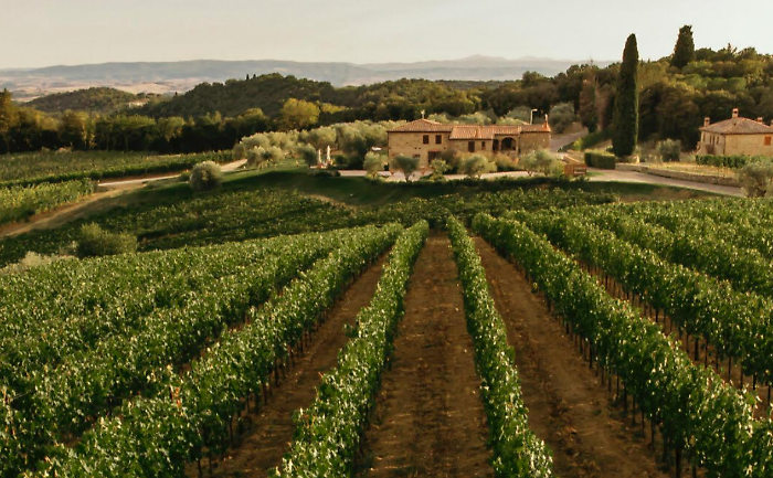 Boschetto Campacci svela il vino Masgalano a Vinitaly 2025: ecco il nuovo Igt Toscana Rosso