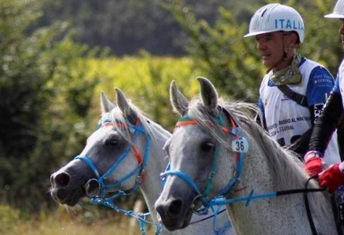 Addio a Corrado Tiberi, morto a 64 anni durante una passeggiata a cavallo. Era campione ed ex nazionale di Endurance
