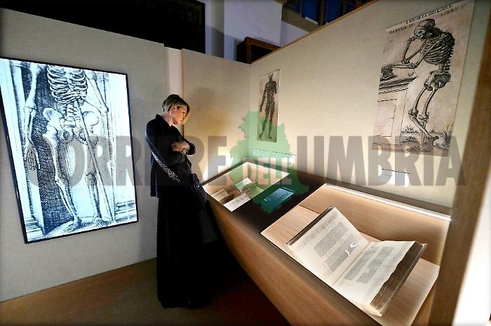 Mostra Laudato Sie Assisi 