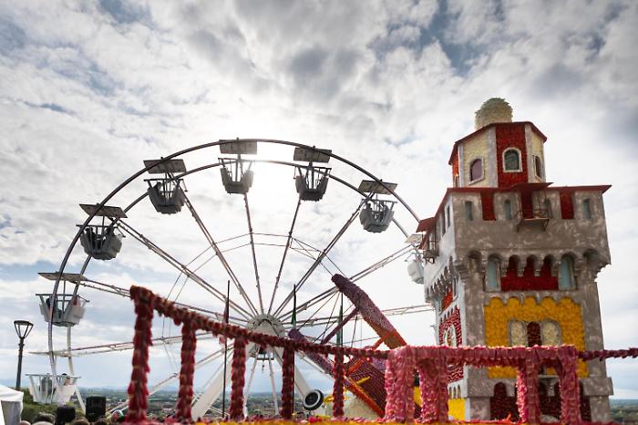 La Festa del Tulipano 2025: un’esplosione di colori e tradizione a Castiglione del Lago 