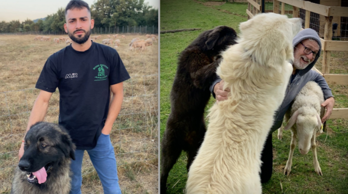 Matteo Contena e Marco Bruni