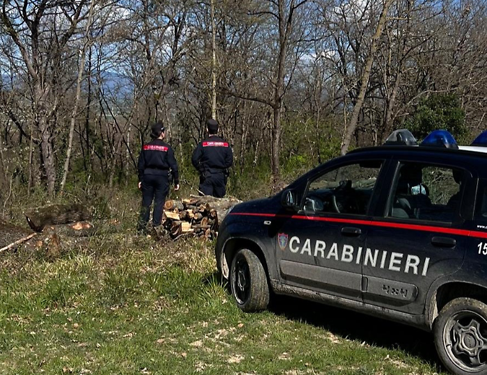 carabinieri forestali siena