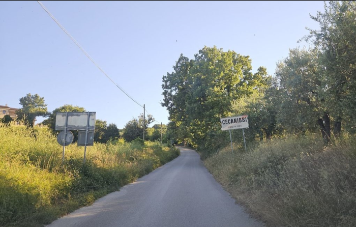 Strada del Furioso Todi 