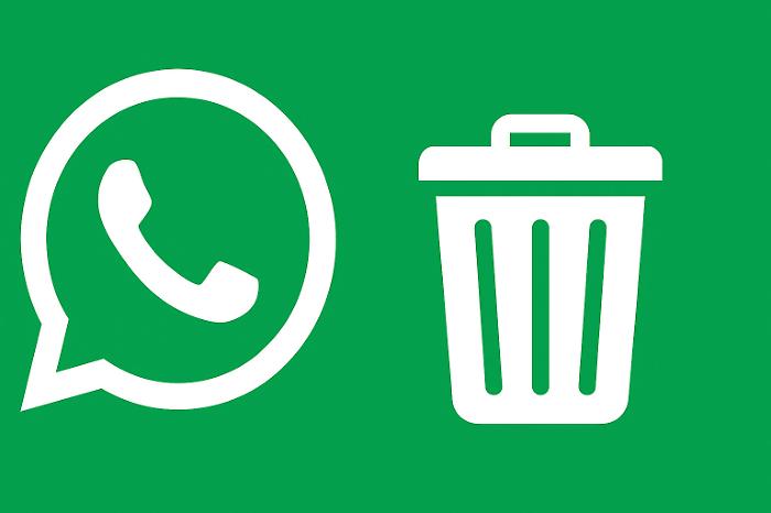 Memoria piena su WhatsApp? Scopri il trucco del cestino nascosto. Come si utilizza la funzione poco conosciuta