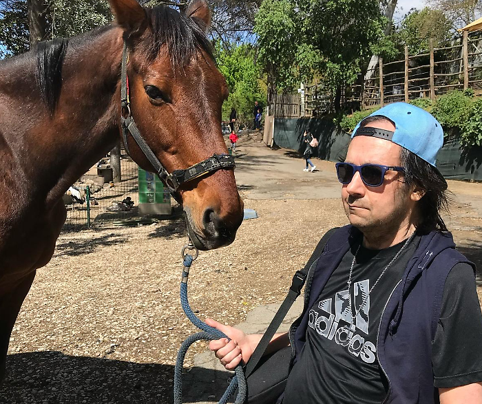 Mattanza dei cavalli, gli imputati verso il patteggiamento. L'associazione Horse Angels: "Ingiusto"