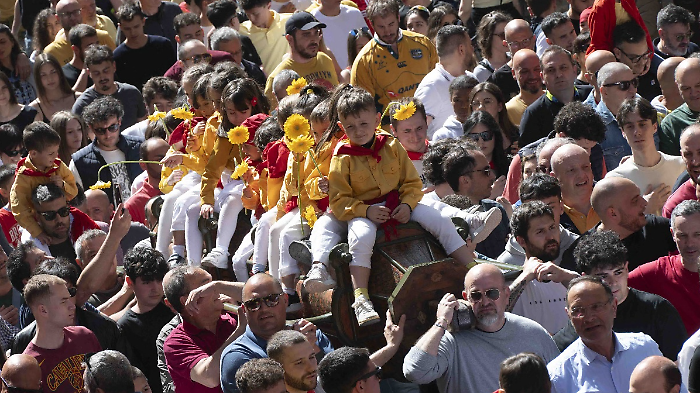 Ceri, la festa più bella è iniziata. LE FOTO del ritorno in città