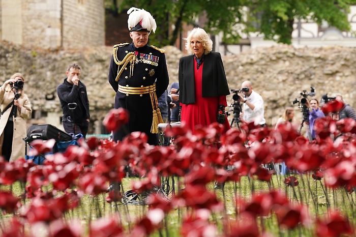 La Regina Camilla e il papavero rosso della memoria: quel gesto che parla al domani