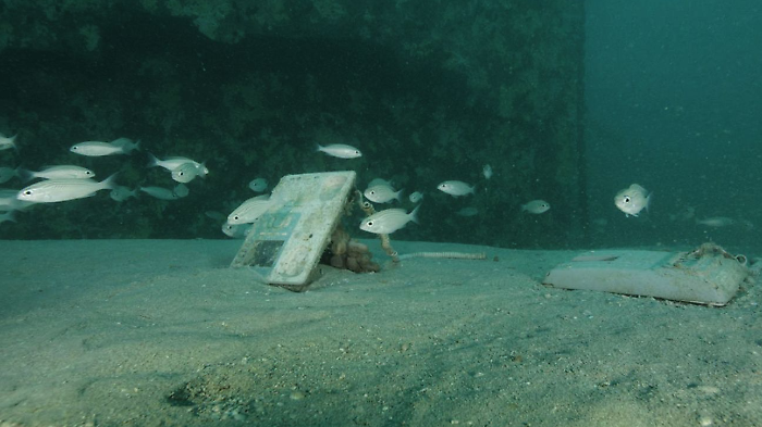 Trovati a 30 metri di profondit&agrave; cellulare, valigia e altri oggetti di Samuele Landi naufragato nel Golfo Persico