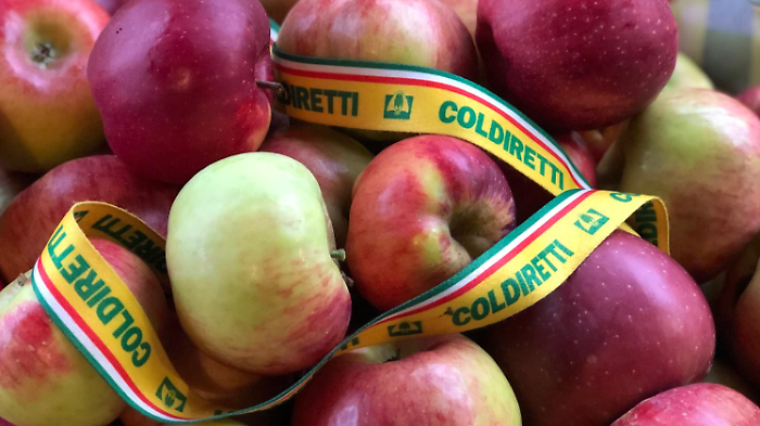Frutta, ad Arezzo -50% di alberi in 10 anni: Coldiretti lancia l'allarme e chiede regole pi&ugrave; eque e sostegno alle aziende