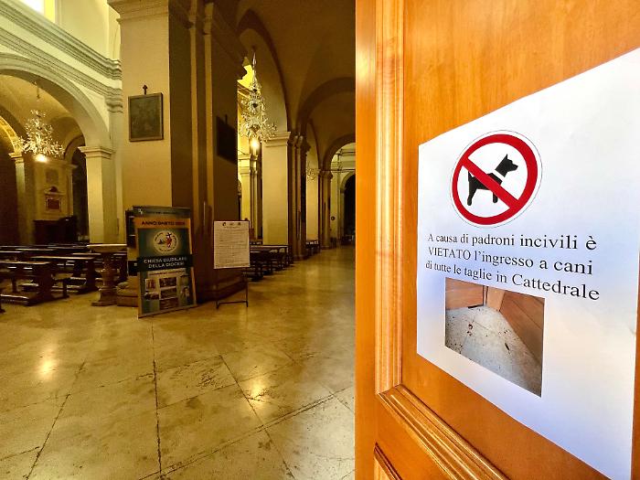 Niente cani all'interno del duomo di Terni, il parroco don Rossini: "Vietato l'ingresso a causa dei padroni incivili"