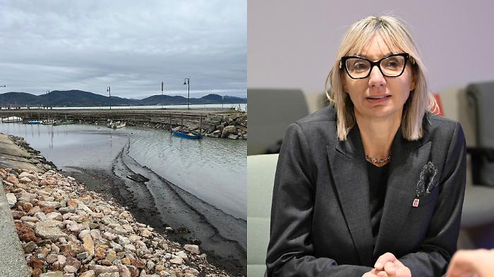 Crisi del lago Trasimeno, arriva la task force della Regione. L'assessore Meloni: "Cambia il modo in cui ci prenderemo cura dell'ecosistema"