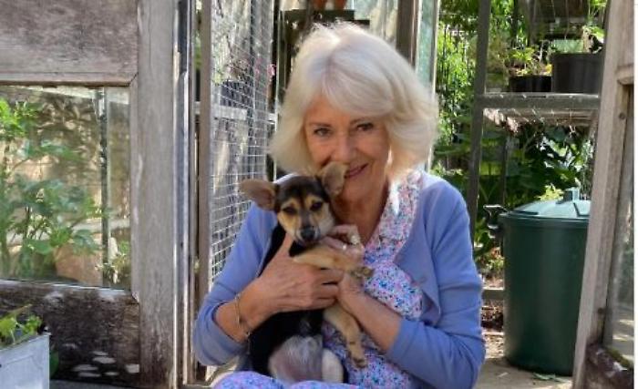 Camilla e Moley: quando un cucciolo racconta più di un comunicato ufficiale