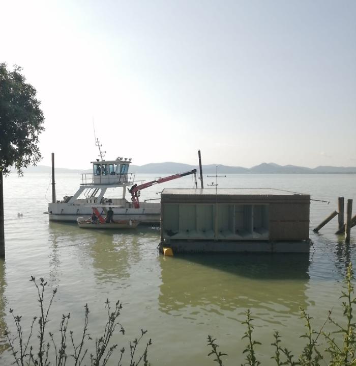 Isola B cattura chironomidi lago Trasimeno 
