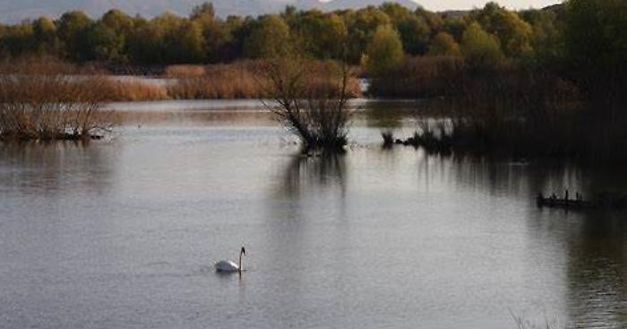 Primavera delle Oasi WWF: al Lago di Alviano un laboratorio tra fiori gustosi e insetti laboriosi