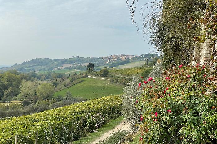 "Il vino in anfora" lancia la rievocazione Ocriculum AD 168 e il progetto "Terre di Otricoli"