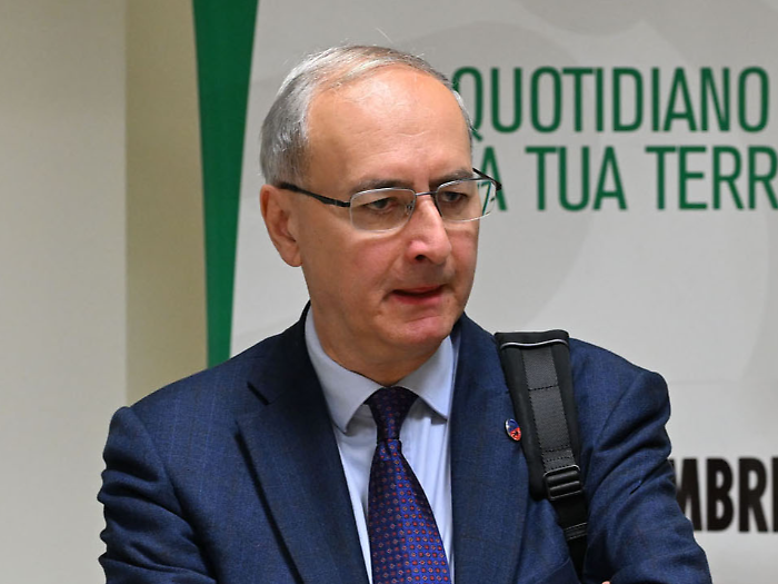 signorelli