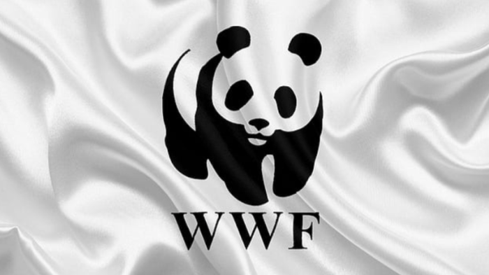 Caccia, le critiche del Wwf sulle scelte in materia venatoria nella Regione Toscana e a livello nazionale