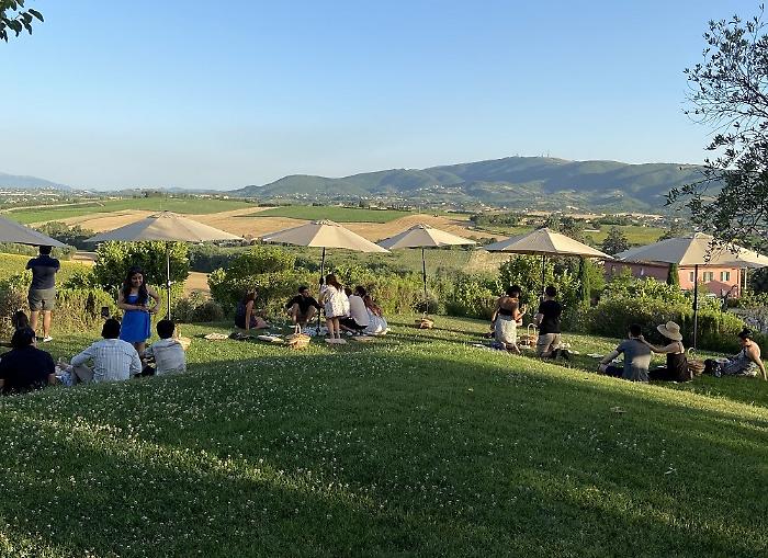 Cantine Aperte in Umbria: 44 aziende pronte ad accogliere migliaia di visitatori sabato 24 e domenica 25 maggio. Ecco cosa fare e dove andare, tutte le iniziative